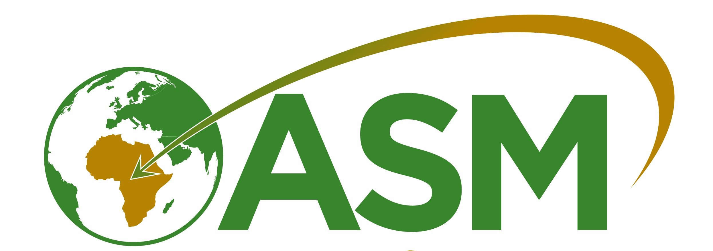 ASMMarket Logo